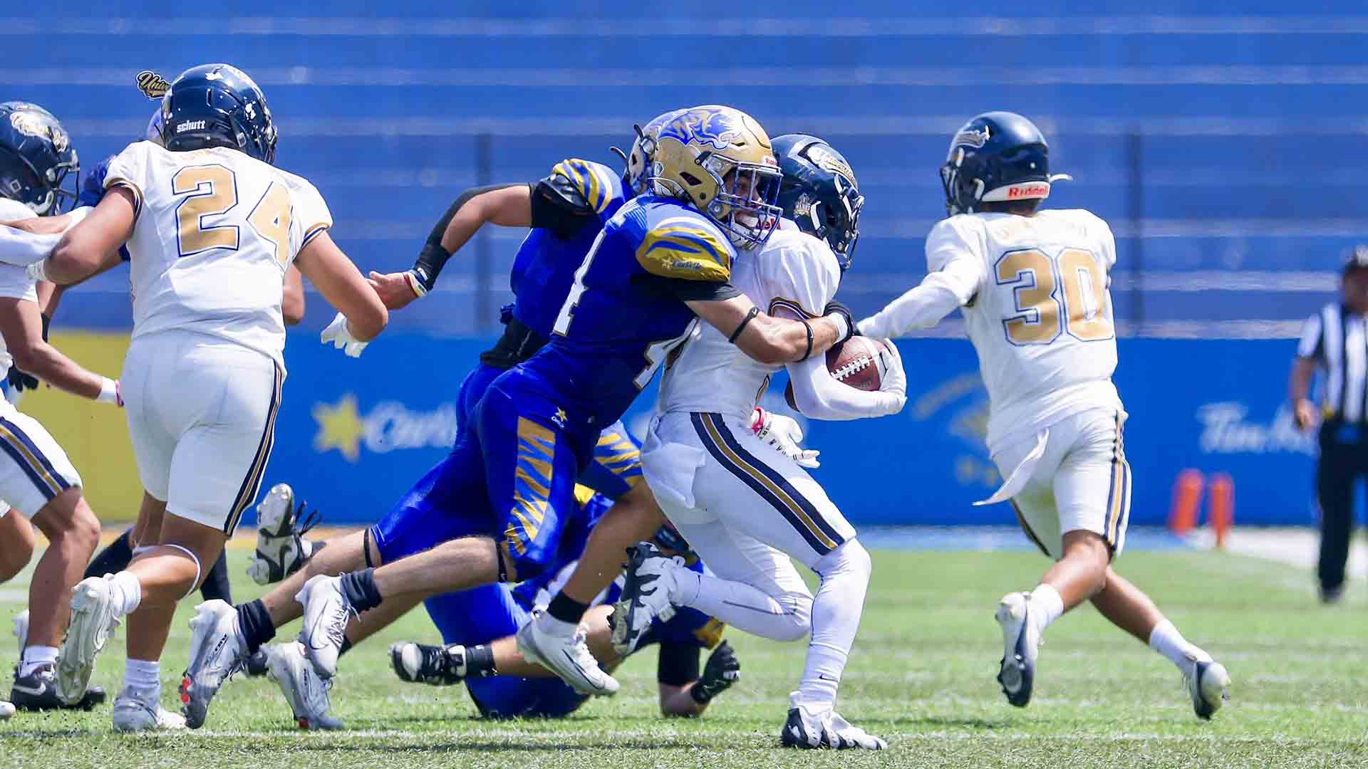Auténticos Tigres avanza a final de Categoría Intermedia ONEFA