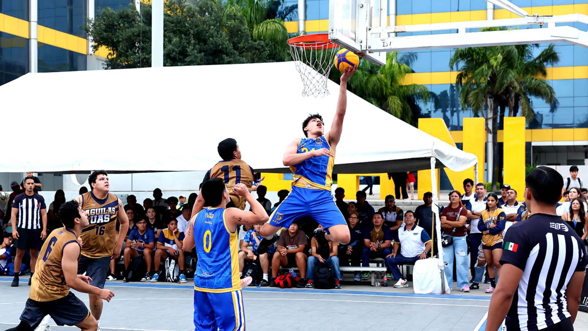 Una historia de resiliencia y campeonato