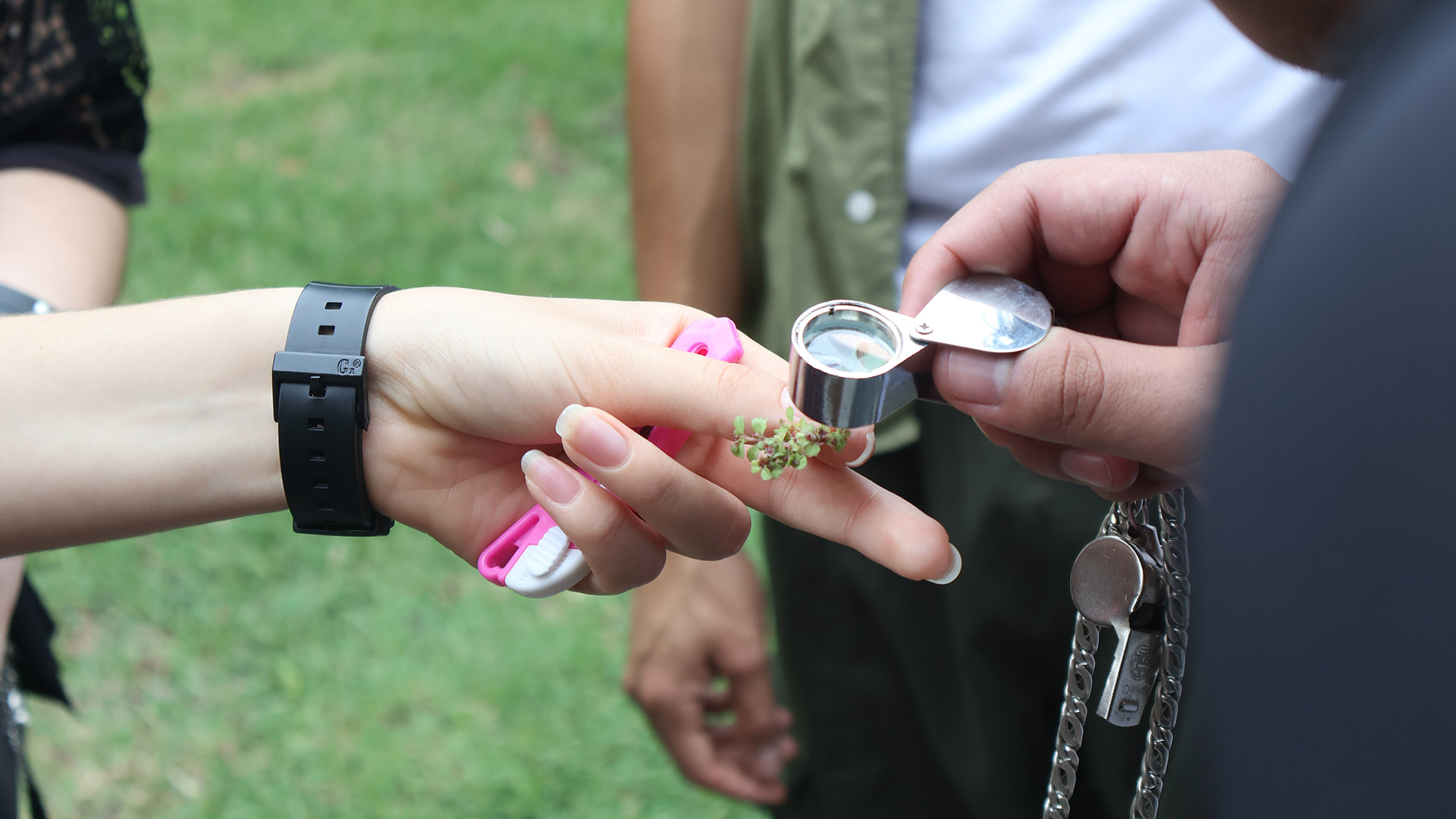 UANL impulsa conciencia ambiental con la primera Semana de la Botánica