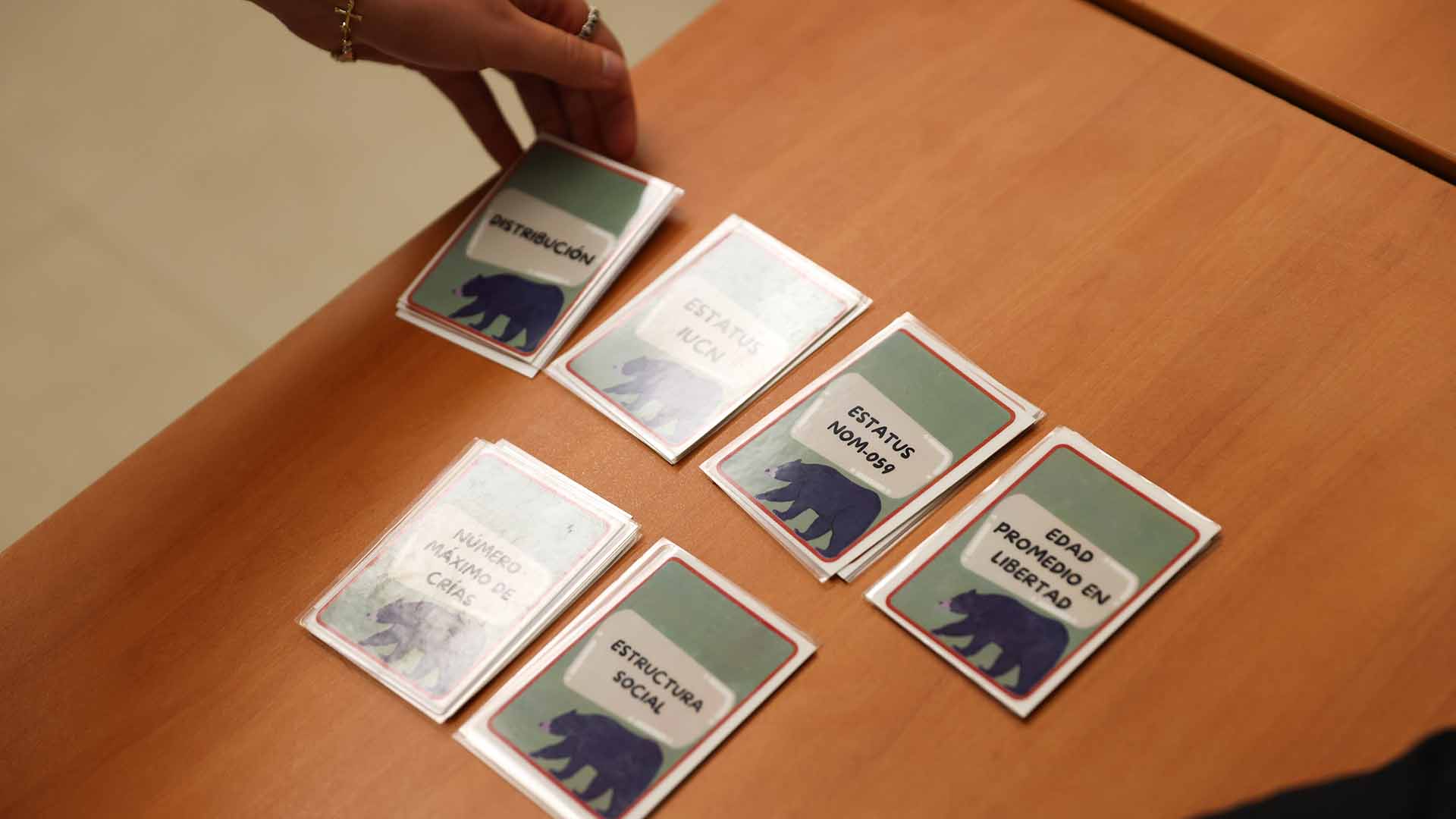 Fomenta educación ambiental con “Mi Vecino el Oso”