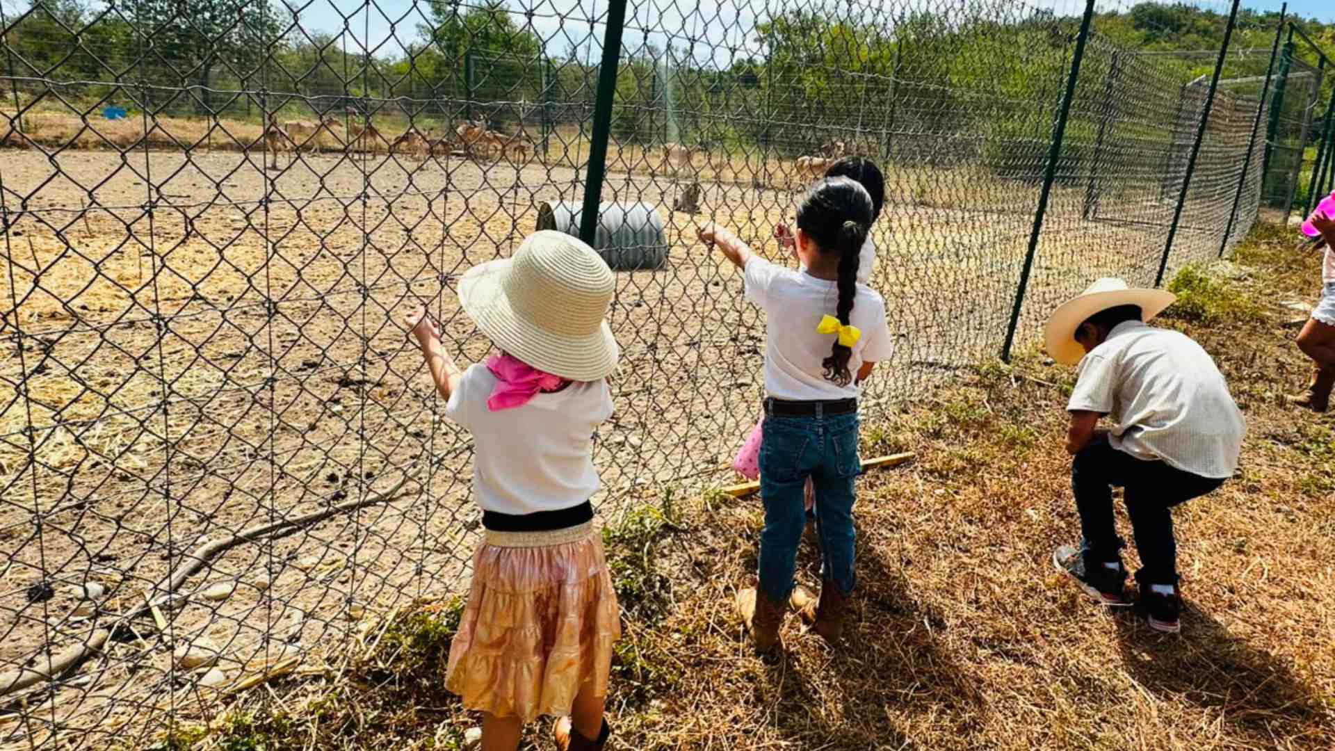 Campamento agropecuario para niños