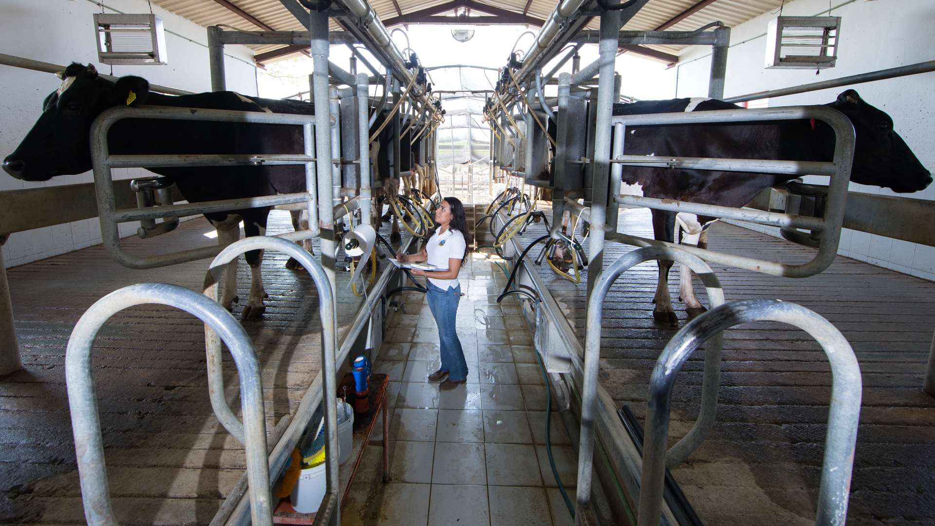 Destaca en seguridad alimentaria y agronegocios Facultad de Agronomía