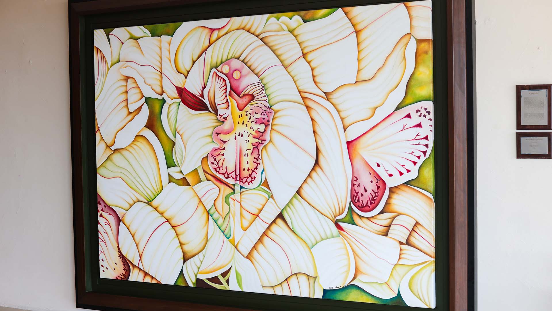 Cora Díaz: trazo y naturaleza