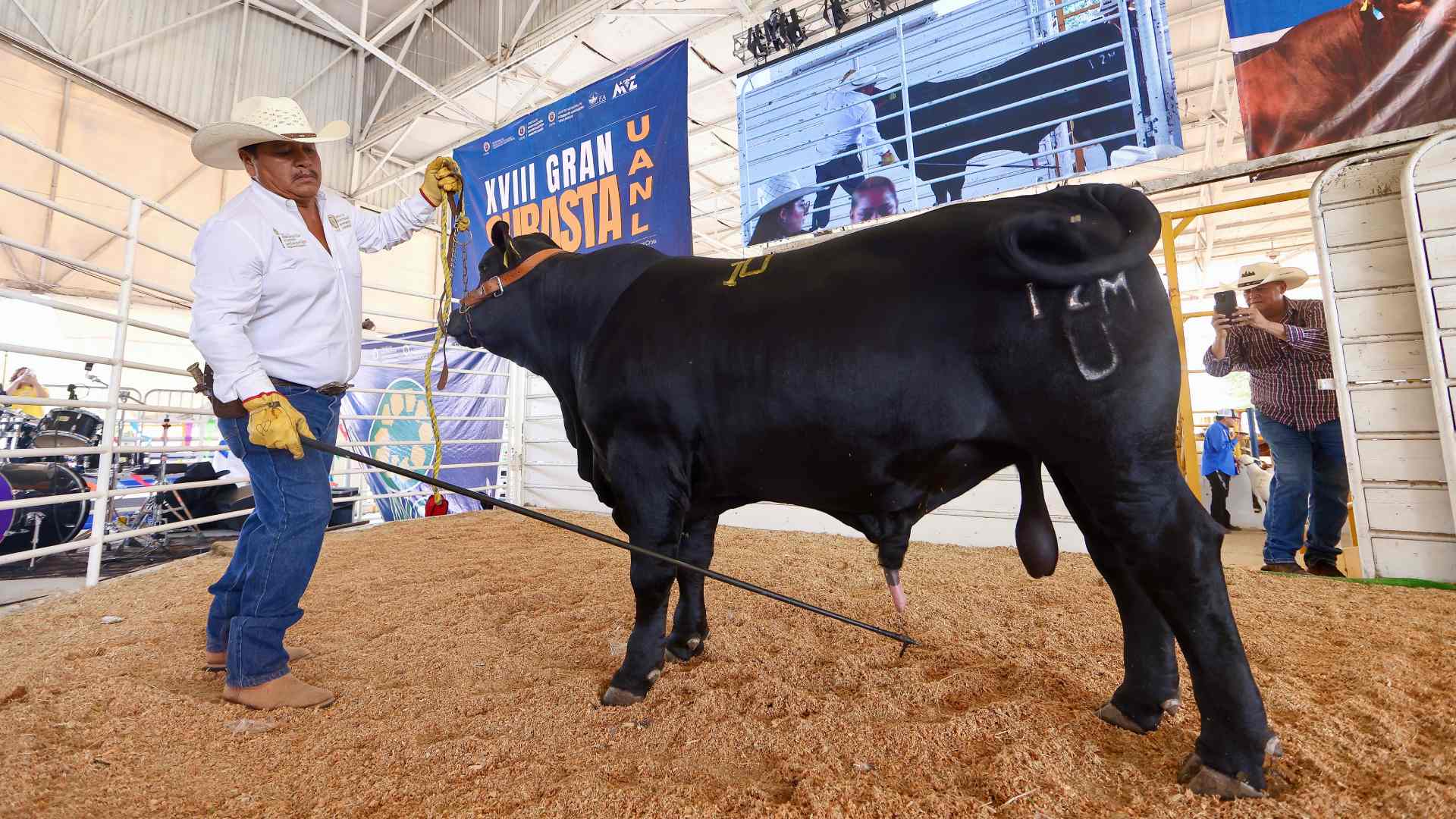 Acerca UANL mejoramiento genético al sector ganadero