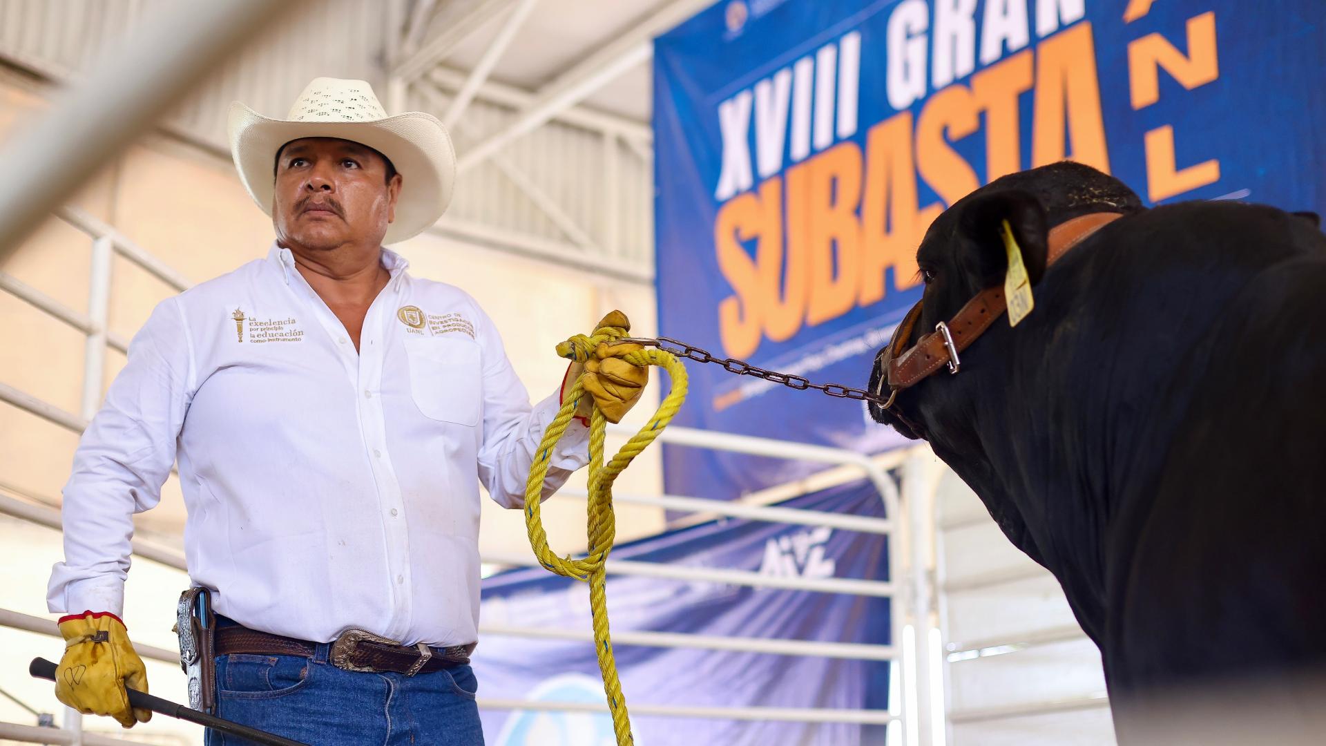 Acerca UANL mejoramiento genético al sector ganadero