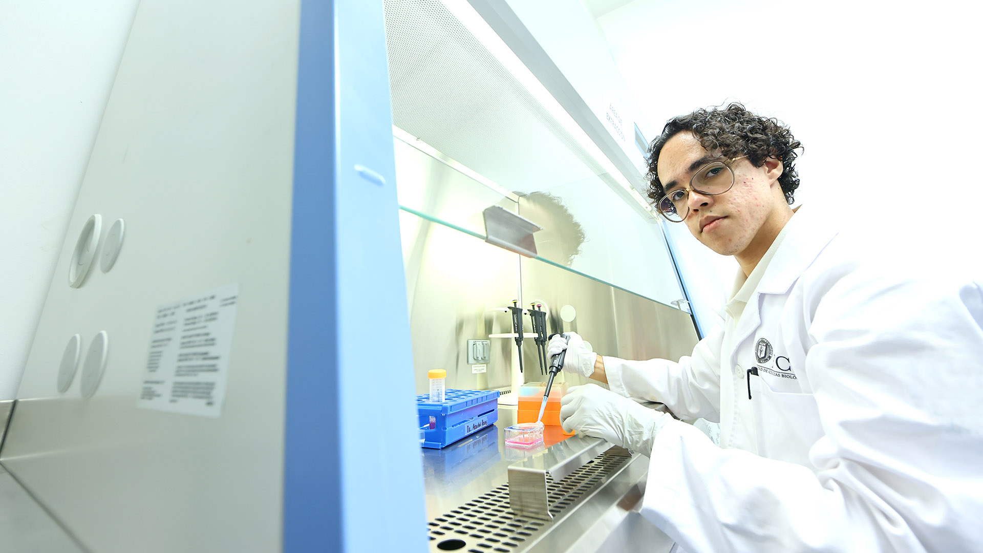 Un verano en el laboratorio