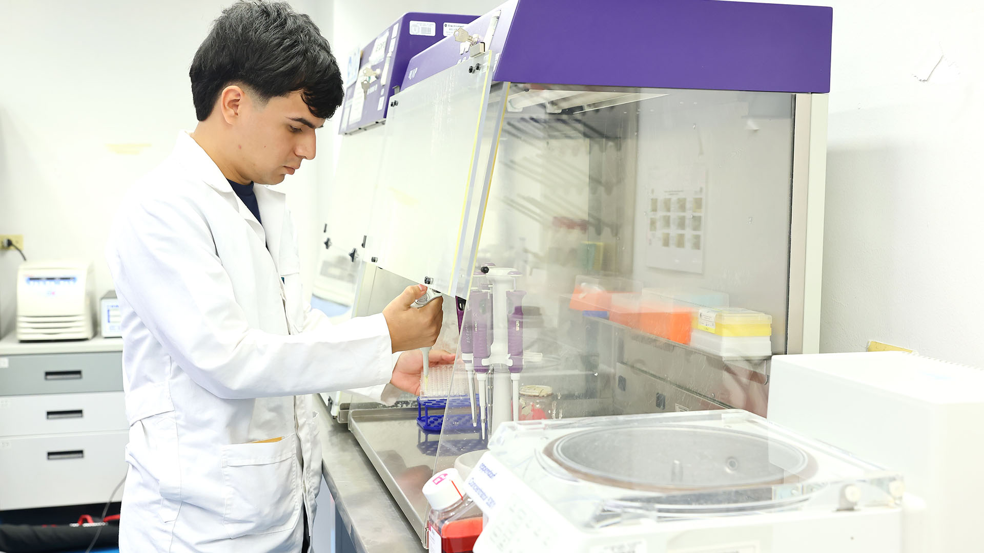 Un verano en el laboratorio